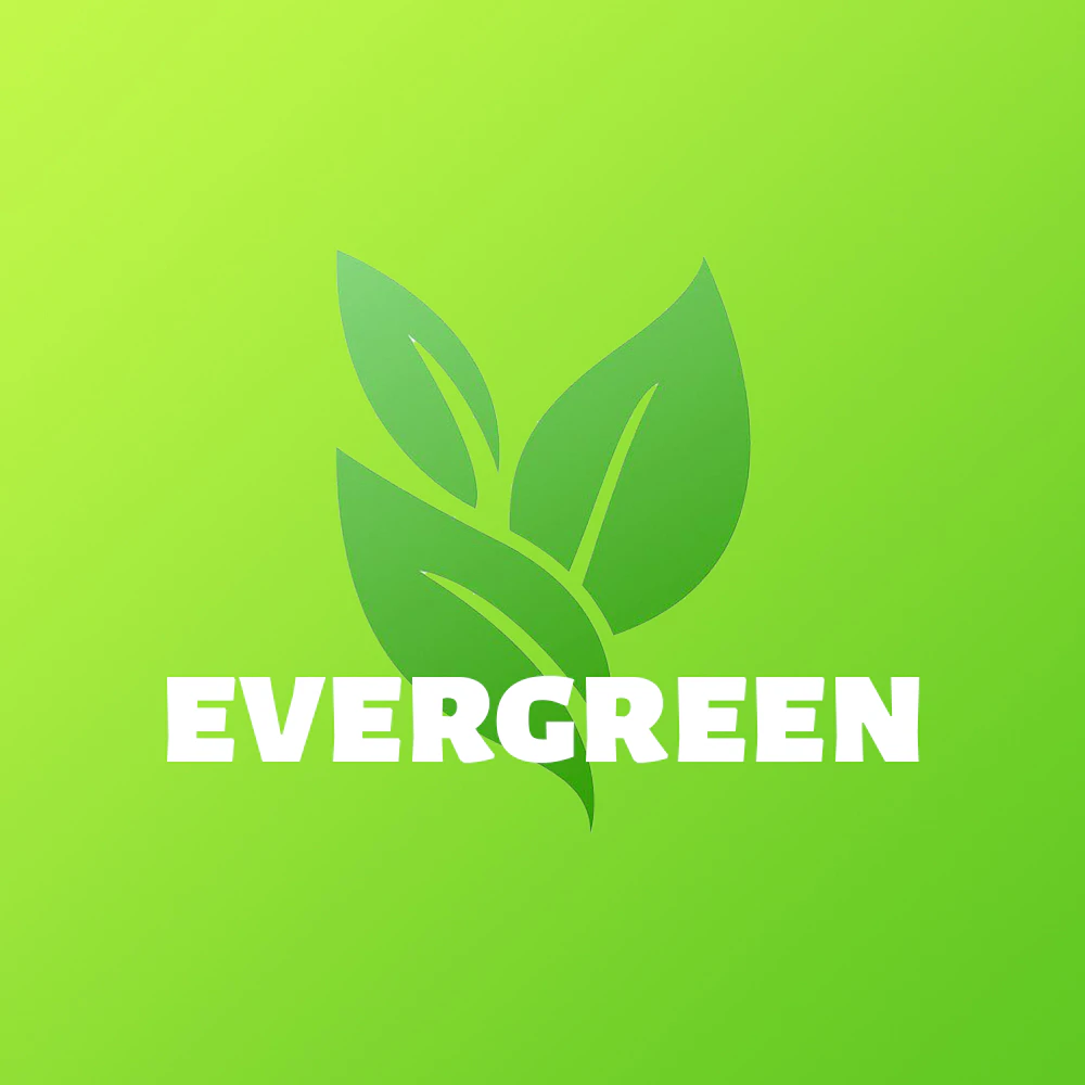 Evergreen