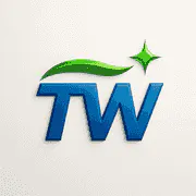 TidyWise