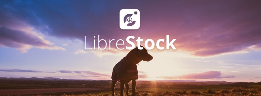 Librestock media 1