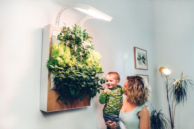 Herbert gallery image