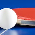 Pongbot