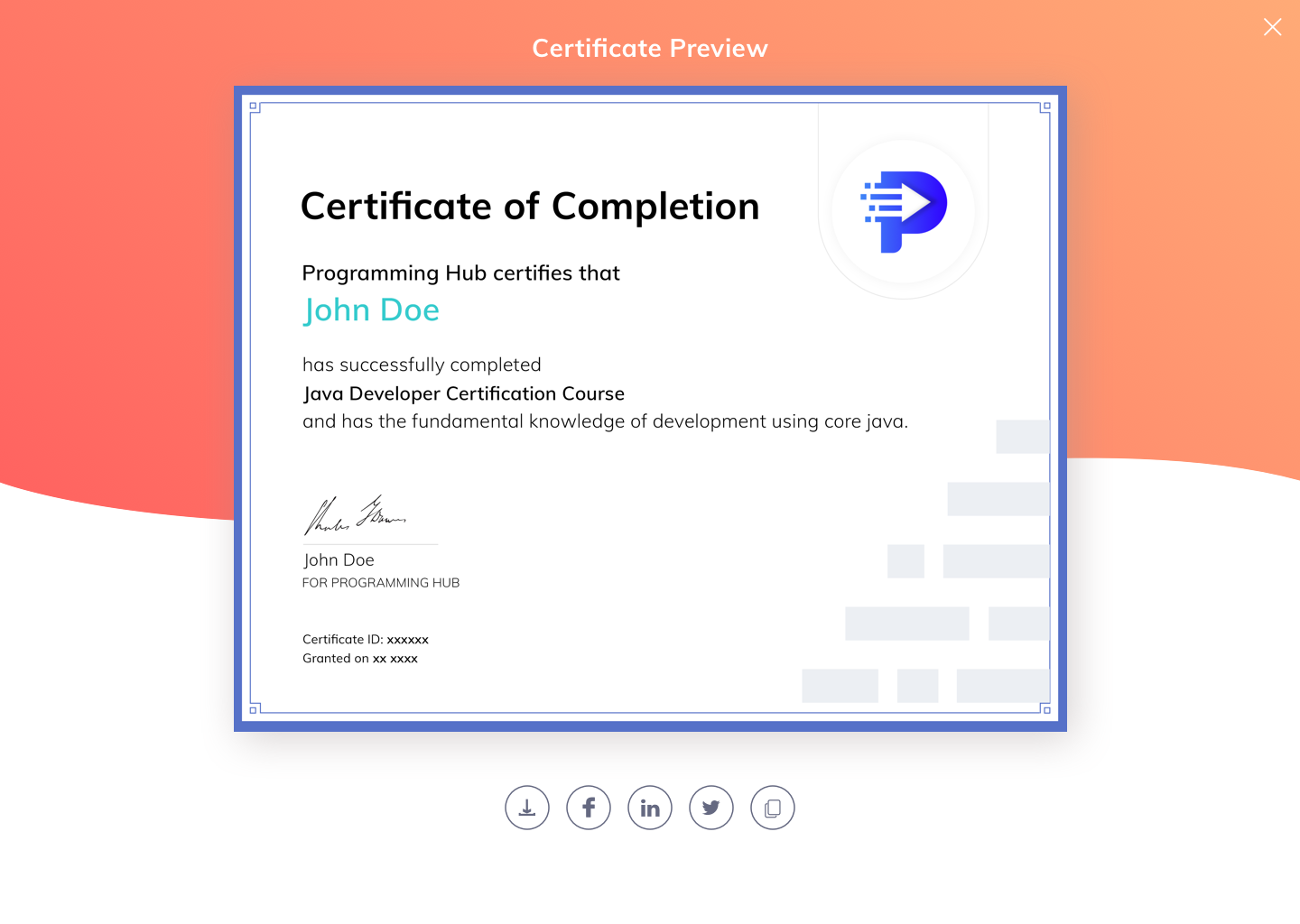 Programming Hub for Web gallery image