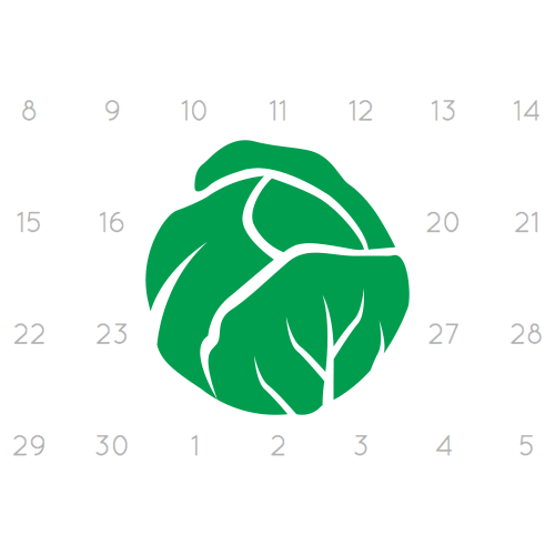 LettuceMeet logo