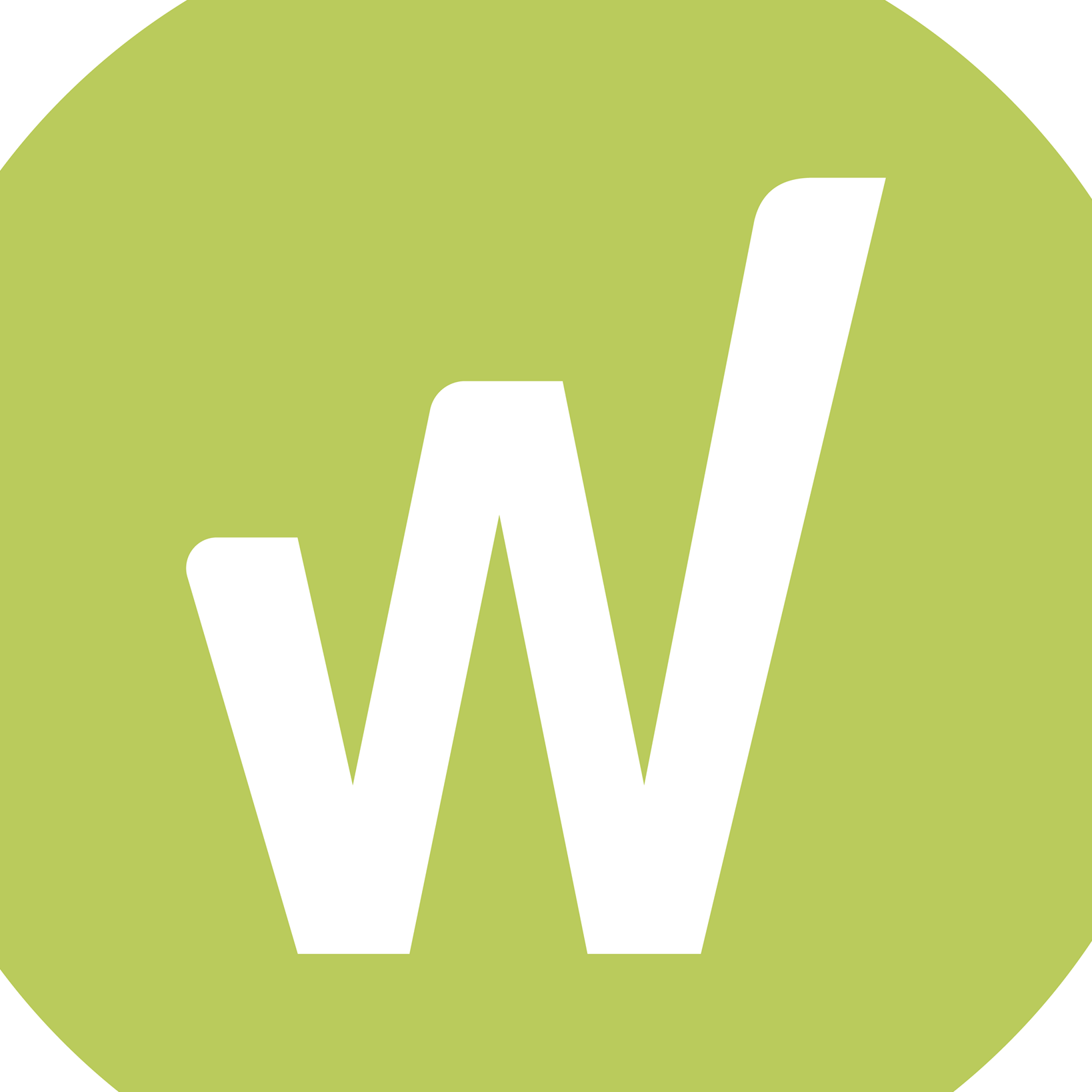 WinBiz Consulting