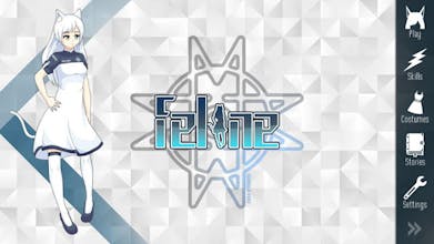 Feline gallery image