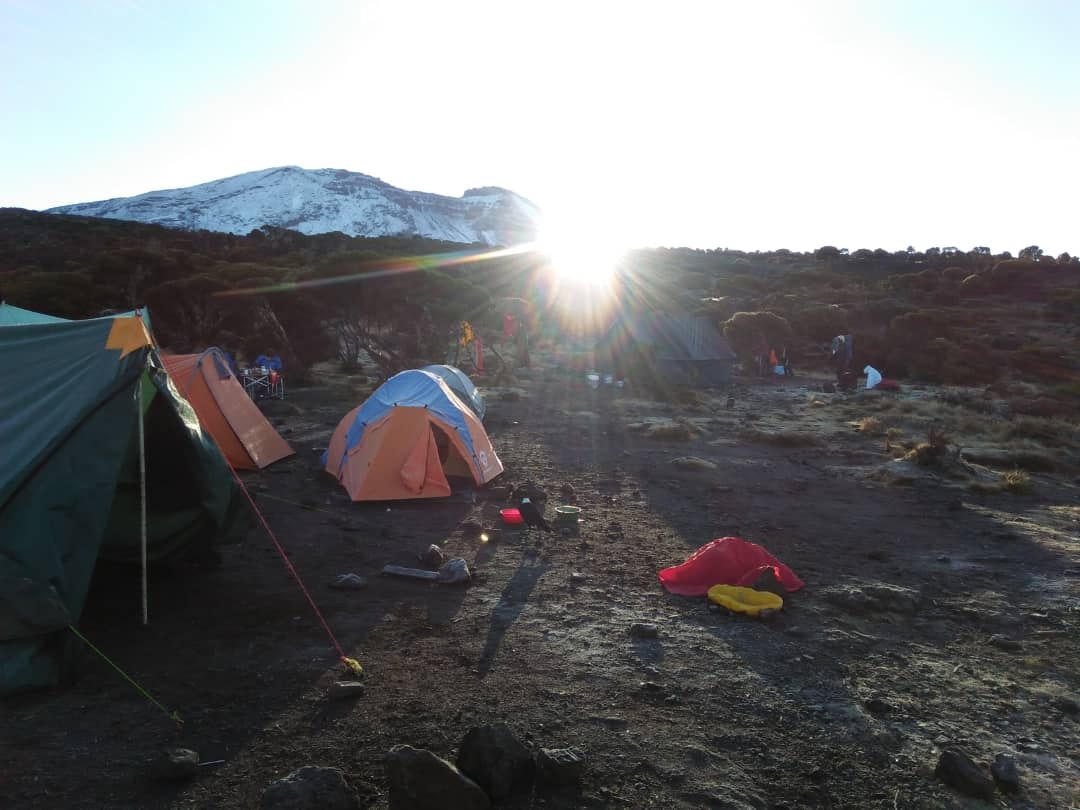 Berg Kilimanjaro Klettern media 4