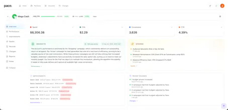 Pace Ads gallery image