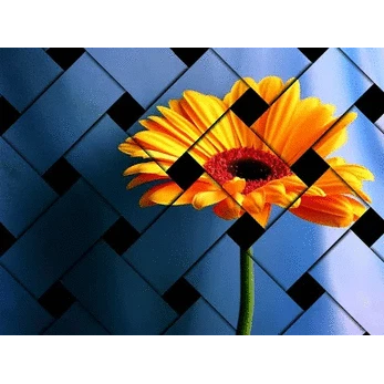 Magic Effect on Photos