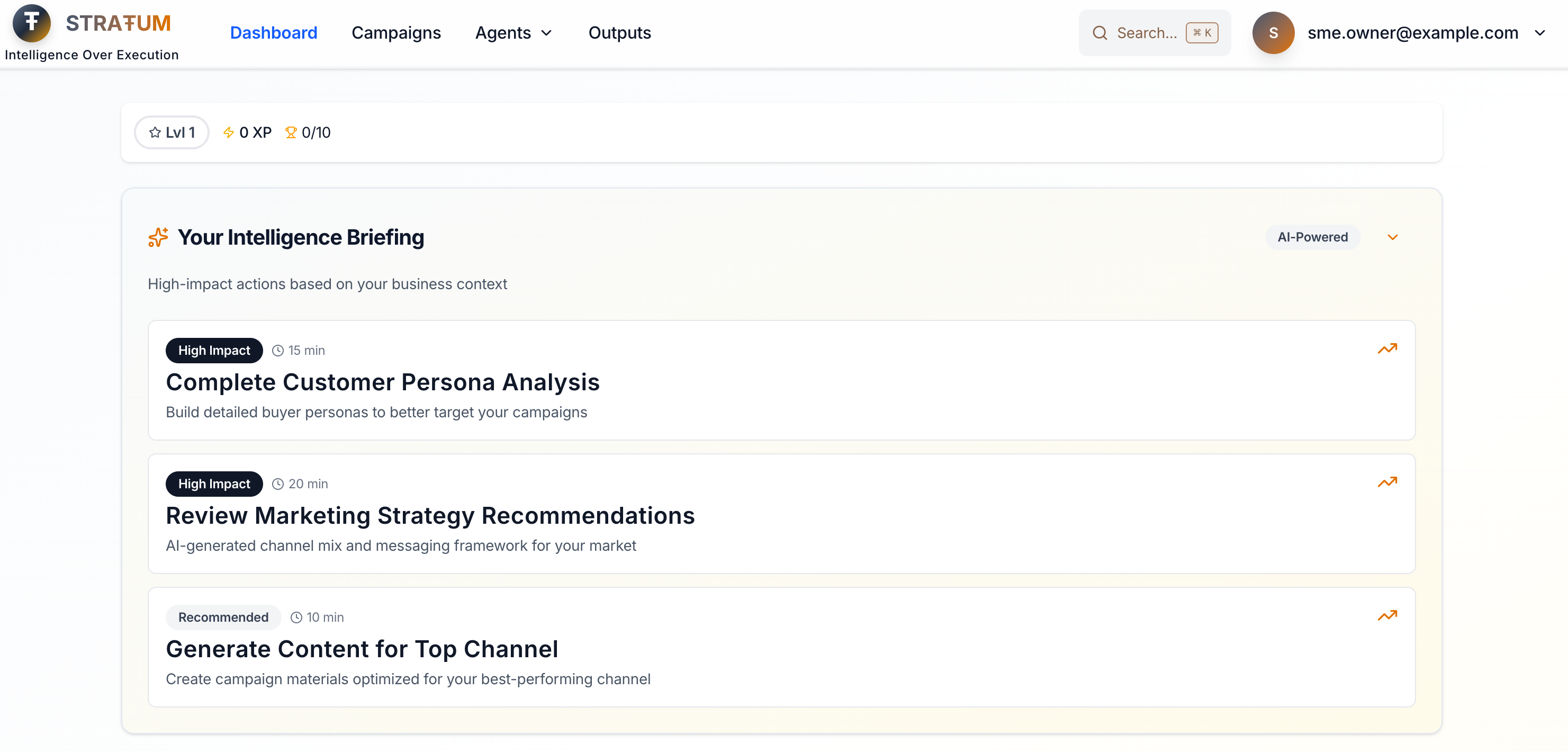 STRAŦUM - AI Marketing Intelligence  gallery image