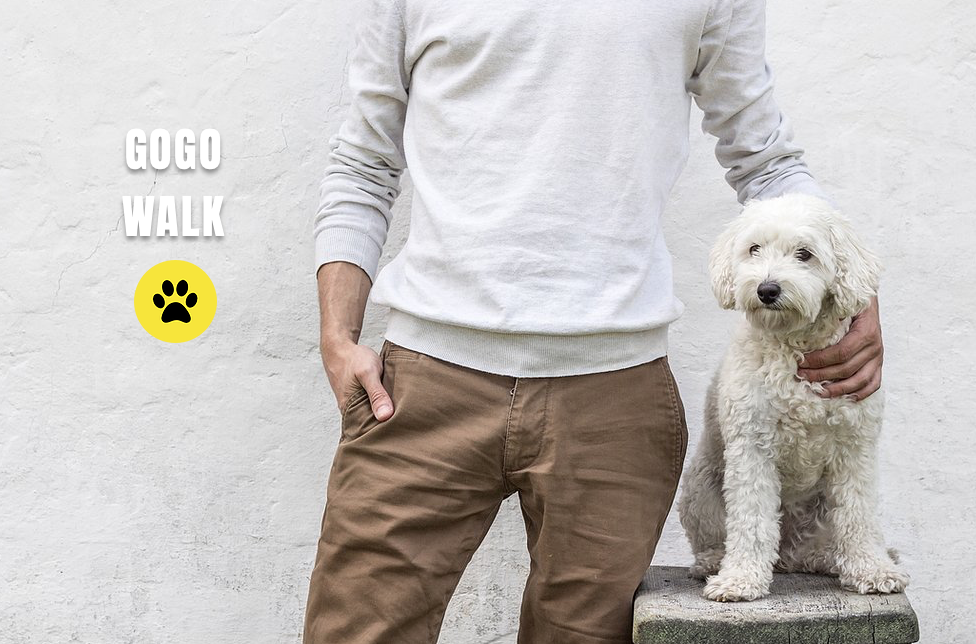 GoGo Walk 🦮 🔘 gallery image