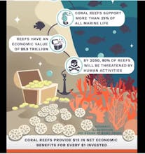 SustainaCities: Climate Genie gallery image