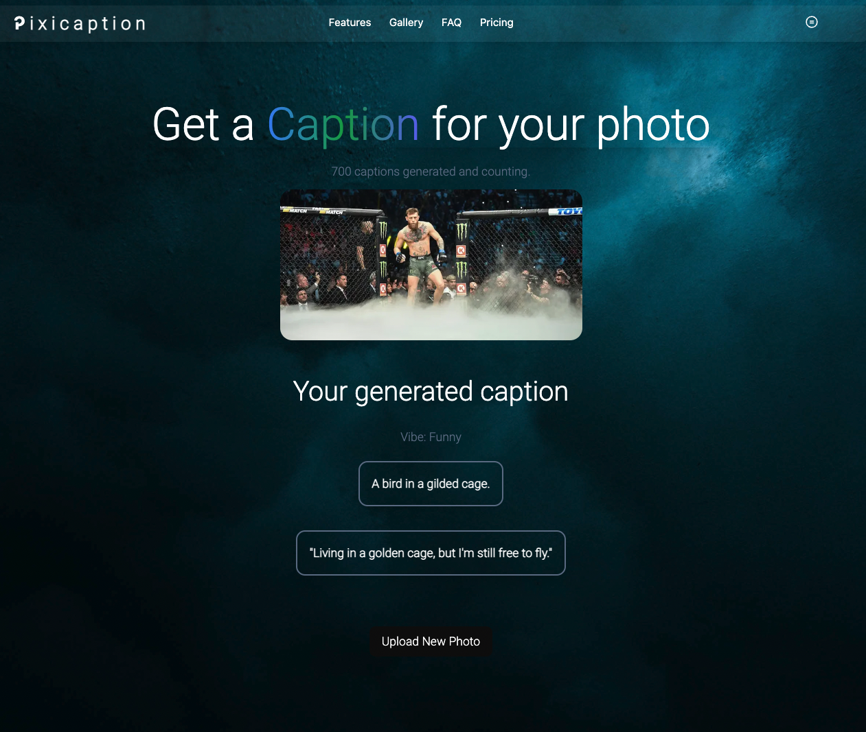 Pixicaption - AI Image caption generator media 2