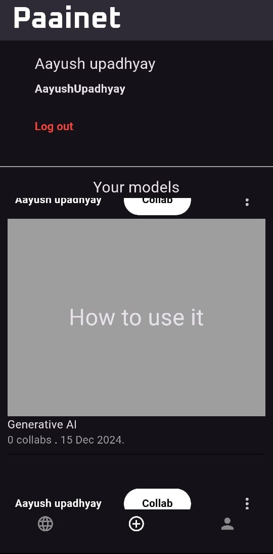 paainet gallery image