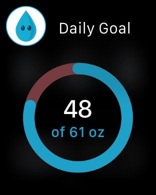 H2O-Pal gallery image