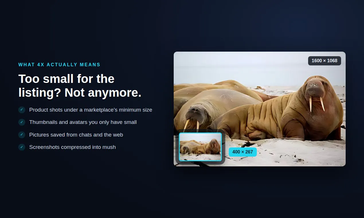 Image Enhancer gallery image