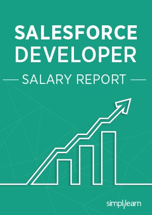 Salesforce Developer Salary Report