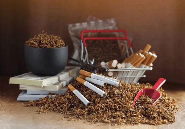 Backwoods  - Main product screenshot demonstrating key features and user interface