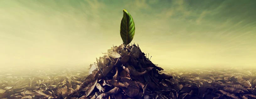 Shamini Gairola cover