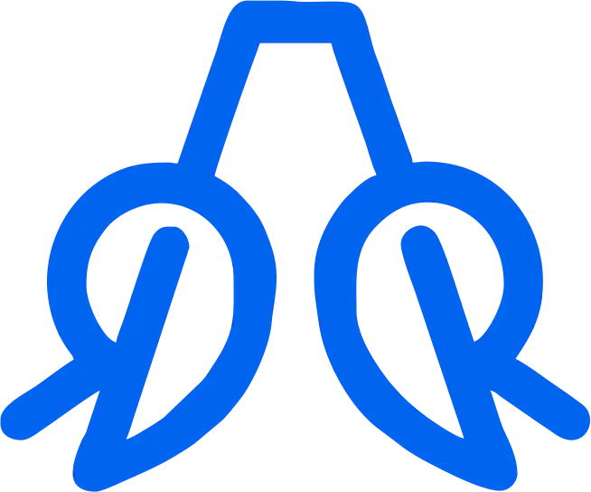 Auriva Solution