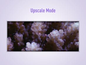 UltraWideo gallery image