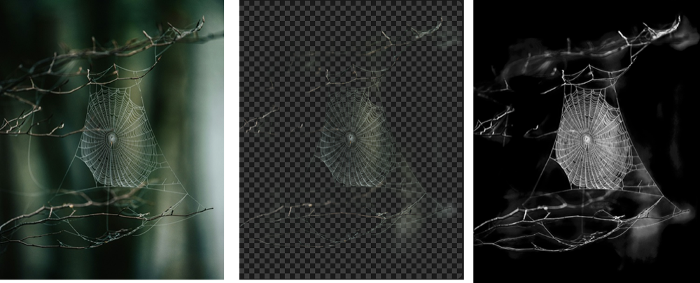 withoutBG - Screenshot 5 preview