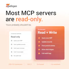 Peliqan MCP Server gallery image