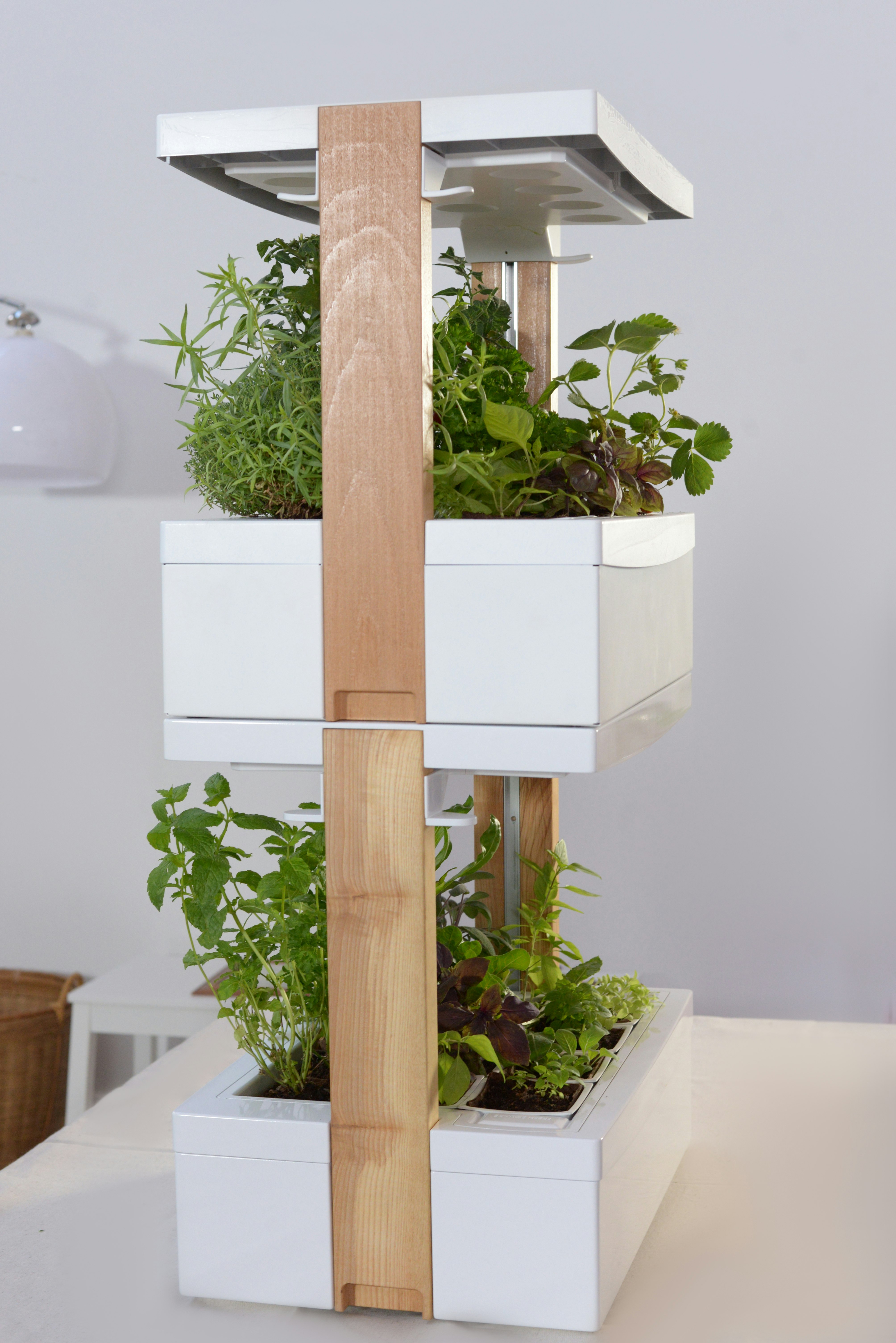 Fresh Square gallery image