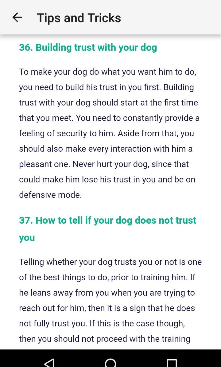 Dog Training : 101 gallery image