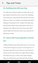 Dog Training : 101 gallery image