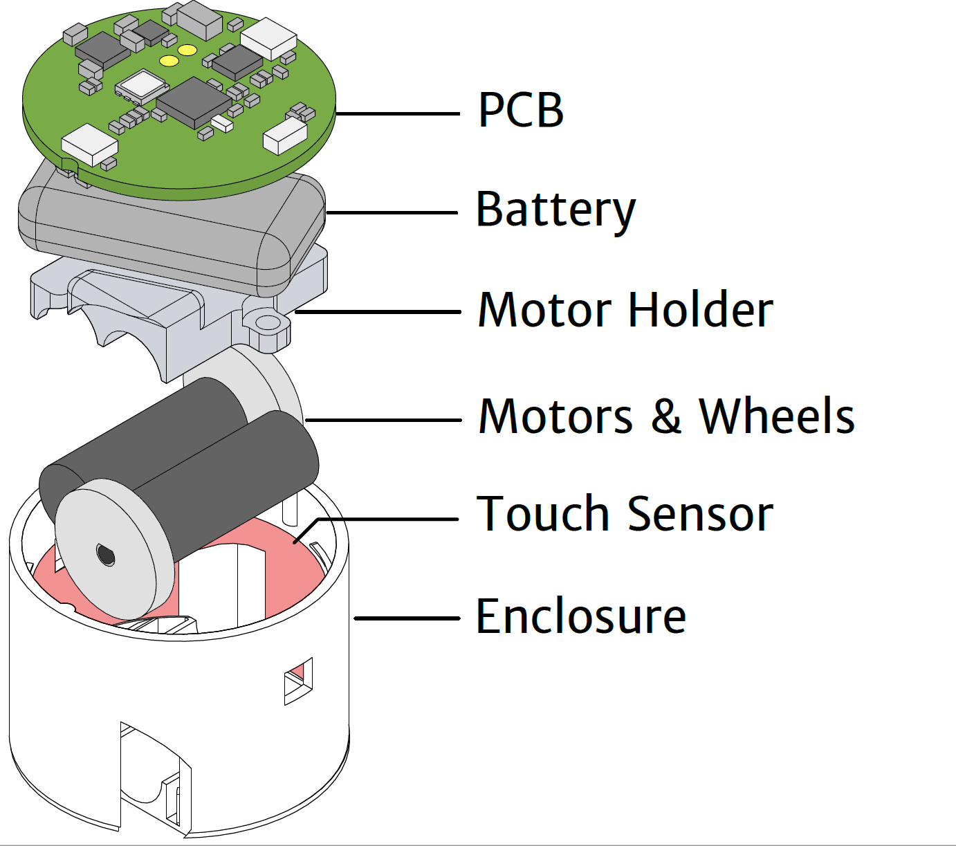 Zooids gallery image