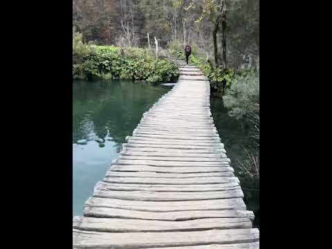 Vibe Camera gallery image