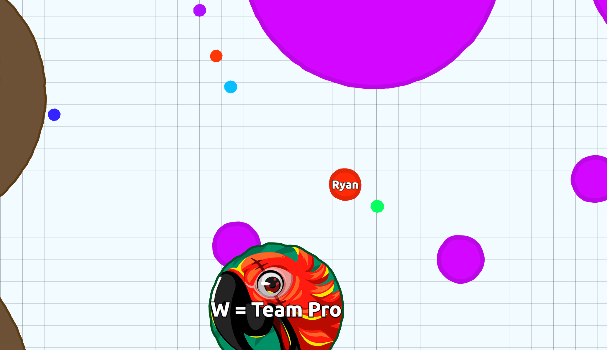 The Marketing Potential of Agar.io