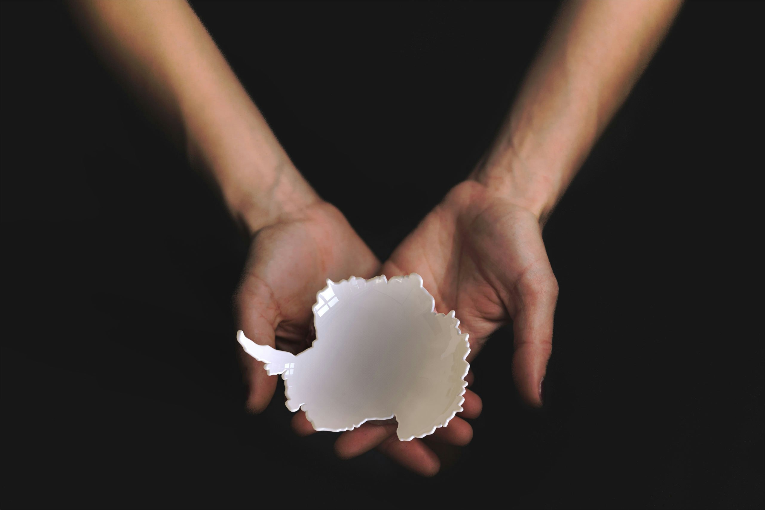 The South Bowl gallery image