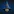aiwizard