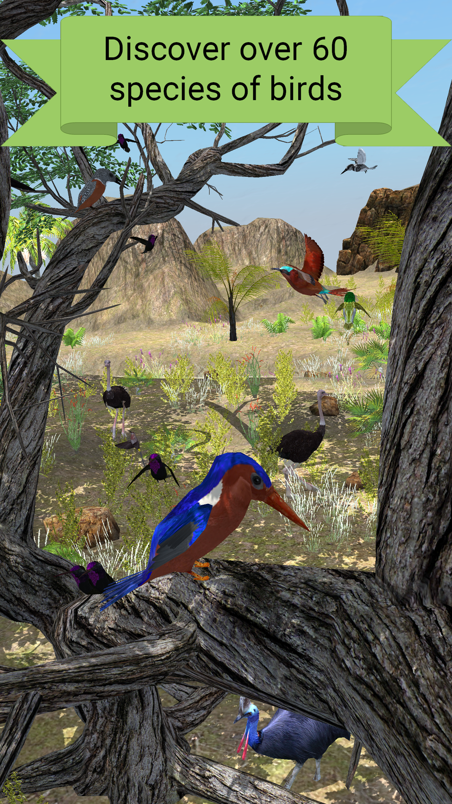 My Aviary gallery image