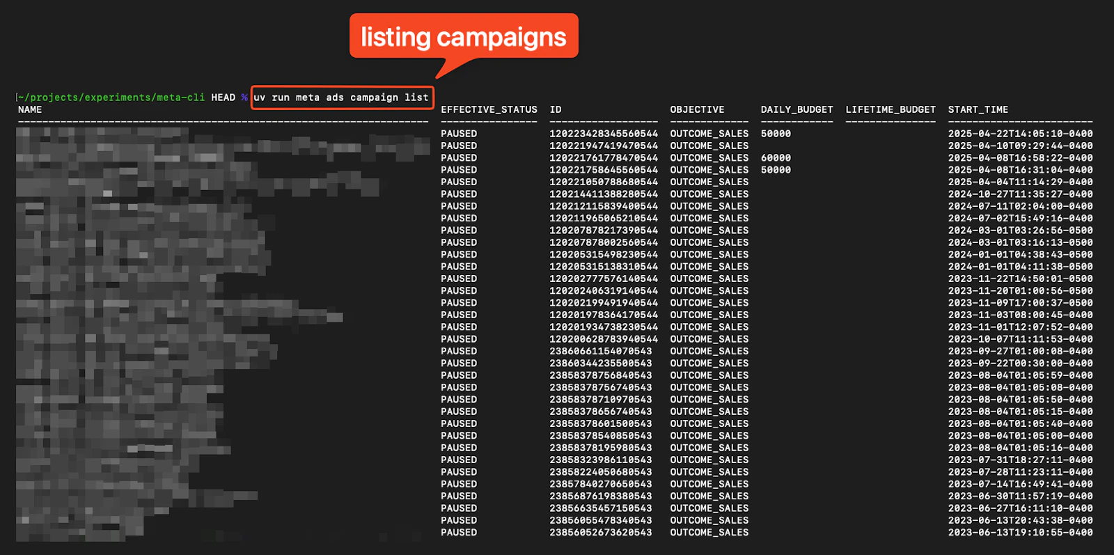 Meta Ads CLI screenshot 2