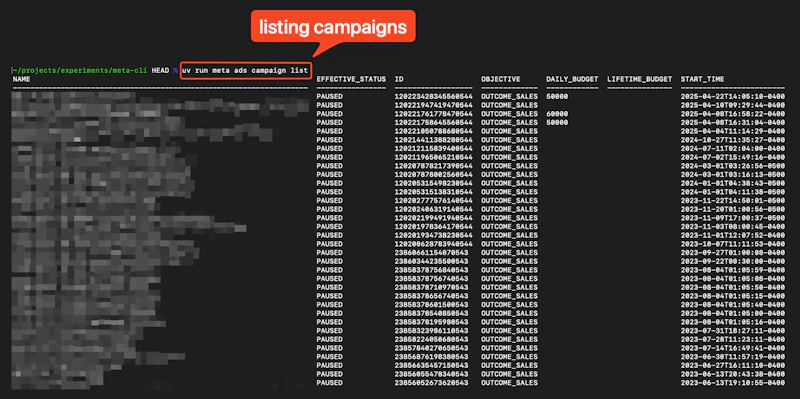 Meta Ads CLI screenshot 2
