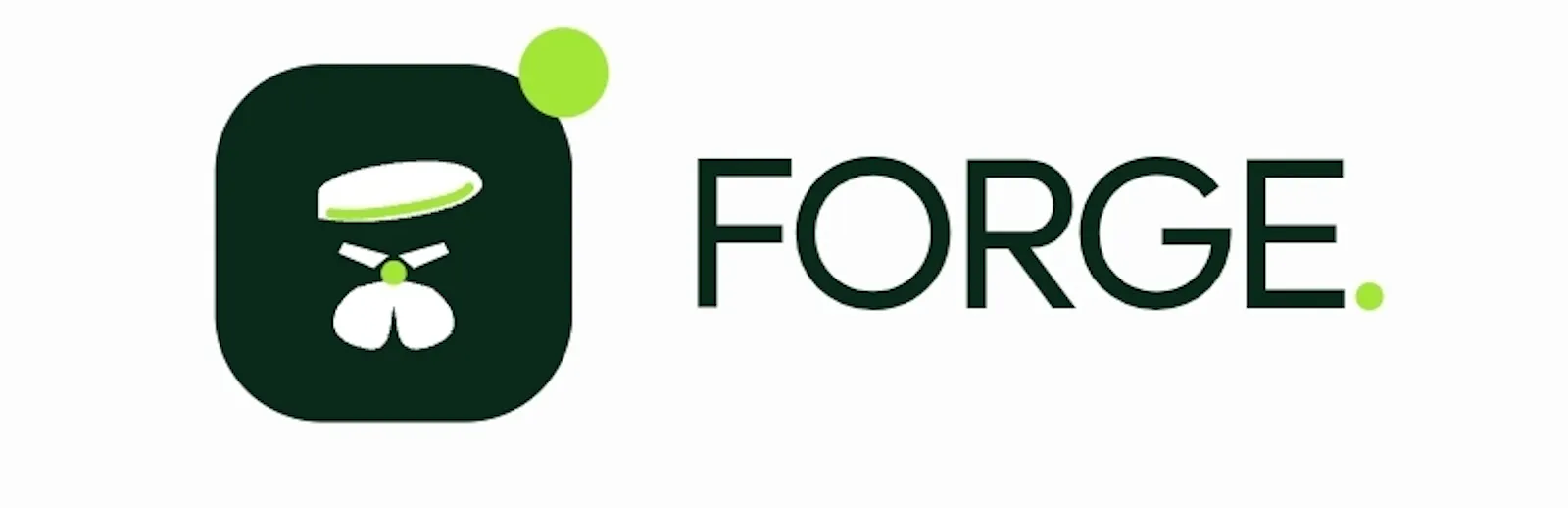 Forge screenshot 1