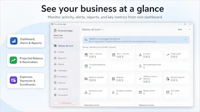 Accounting Ledger gallery image