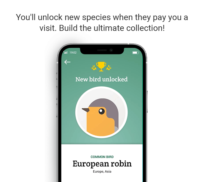 Bird Buddy A Smart Bird Feeder That Notifies You Of Feathered bird-buddy-a-smart-bird-feeder-that-notifies-you-of-feathered