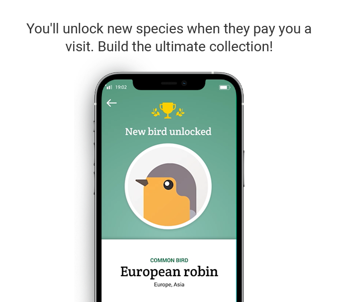 bird-buddy-a-smart-bird-feeder-that-notifies-you-of-feathered