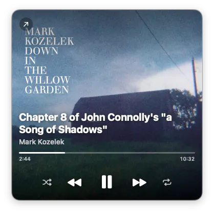 Tidal Mini Player — builtoberemembered gallery image