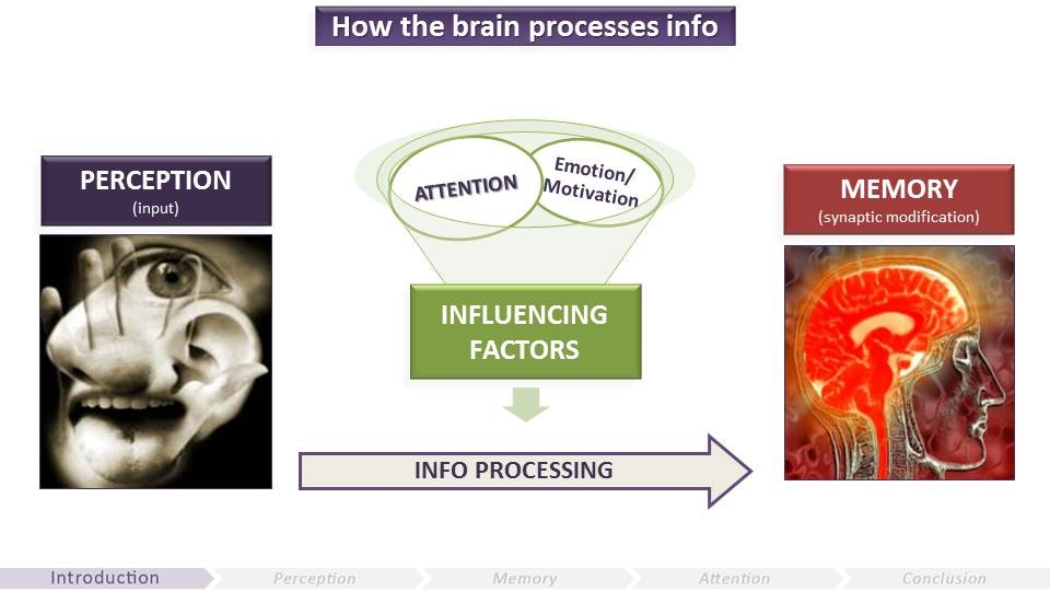 The Gamer’s Brain gallery image