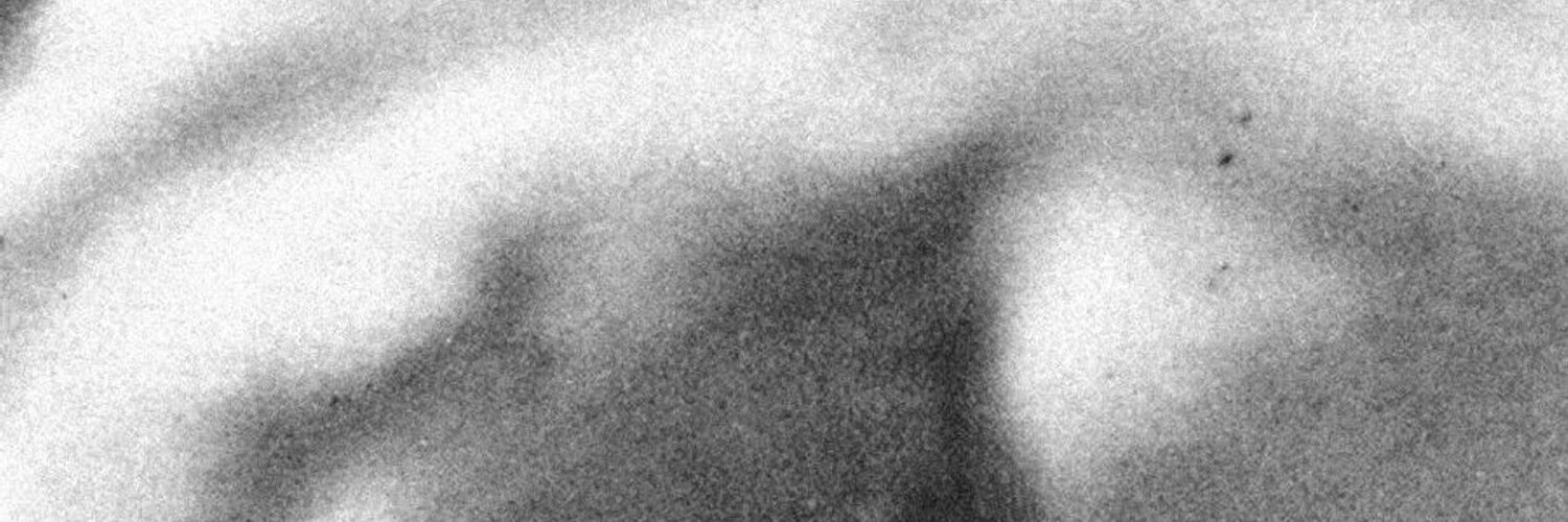 Daniel Pianetti cover