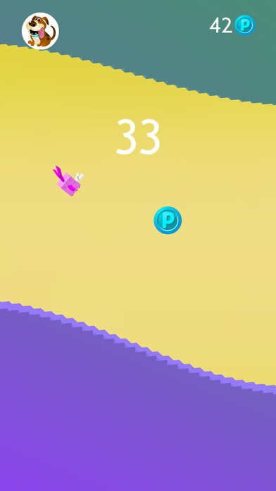 First Flight - Fly the Nest gallery image