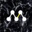 Morph.ai