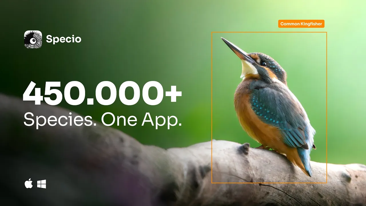 Specio — 450 000 Species, One App gallery image
