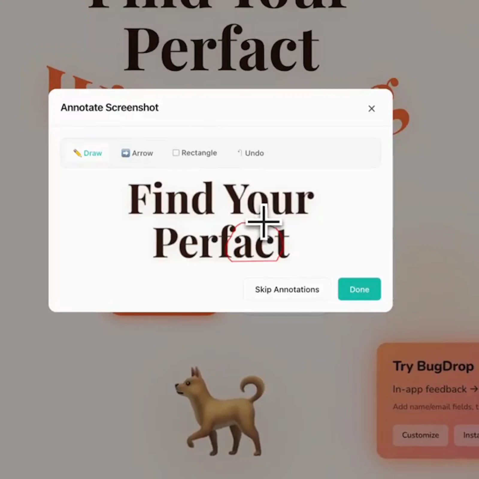 BugDrop screenshot 2