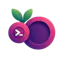 flexiberry