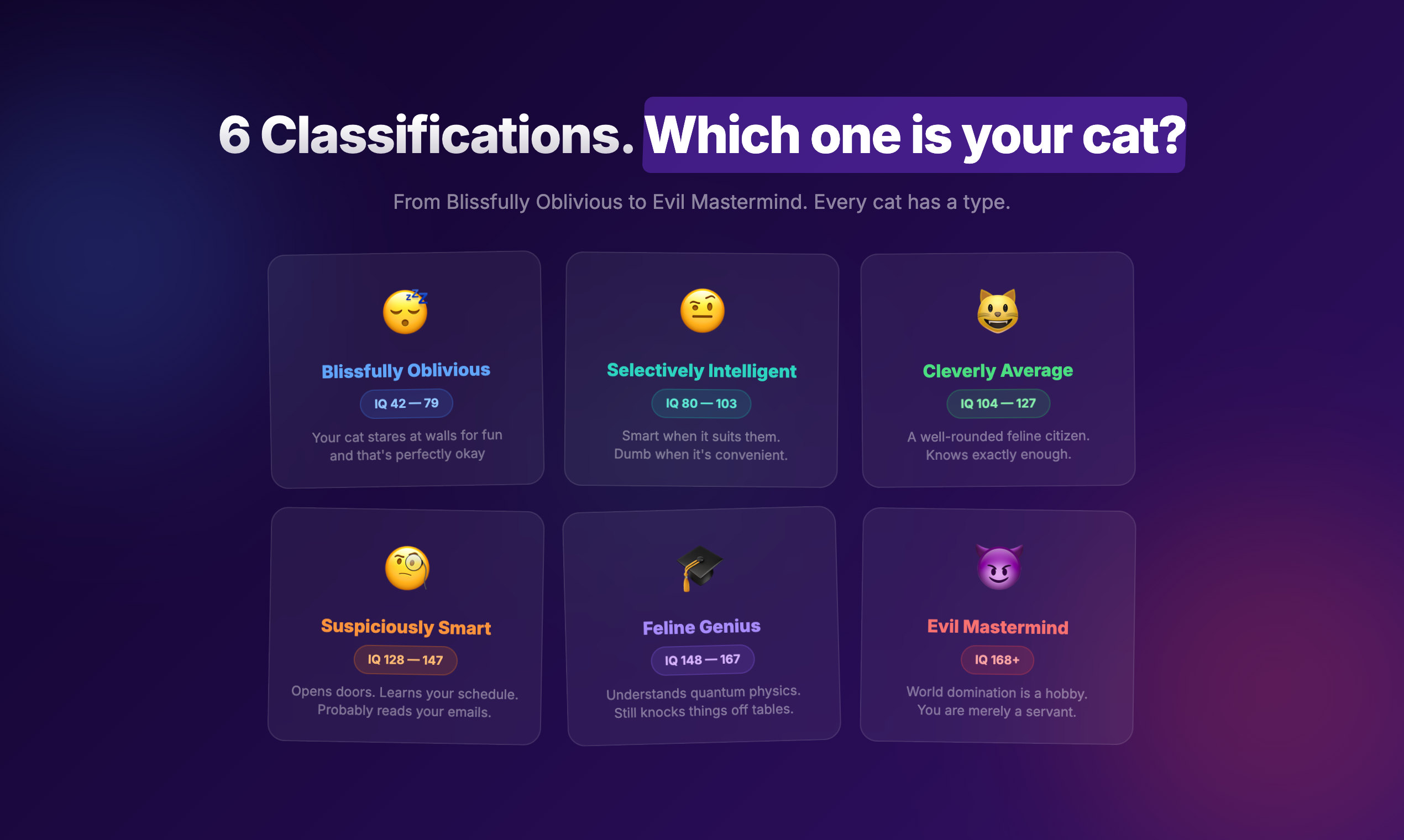 Cat IQ Test - Screenshot 4 showing product features and functionality